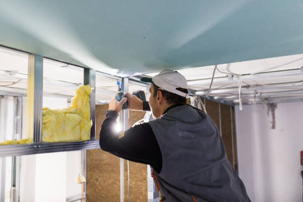 Best Insulation Maintenance and Repair in Newton, NJ